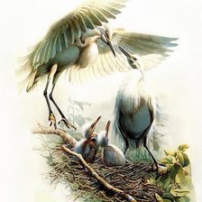 Схема вышивки «Семейка»