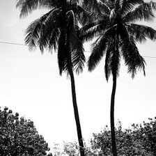 Схема вышивки «Гаваи»