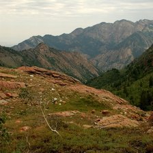Схема вышивки «Гаваи»