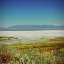 Схема вышивки «Гаваи»