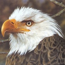 Схема вышивки «Птицы-4»