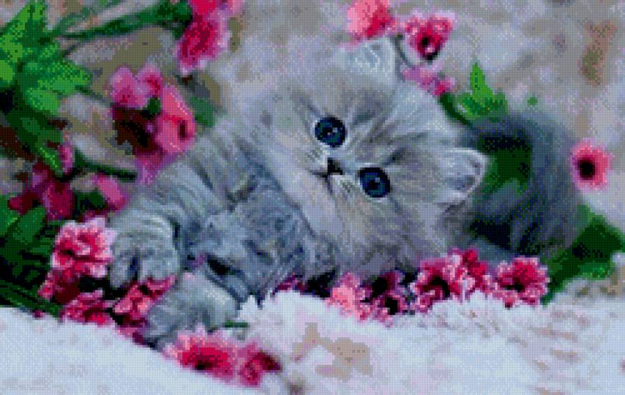 котенок вцветах - котенок, цветы - предпросмотр