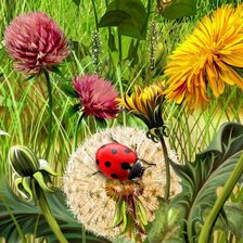 Схема вышивки «божья коровка»