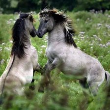 Схема вышивки «№758164»