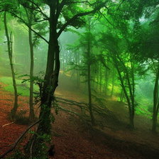 Схема вышивки «№758320»