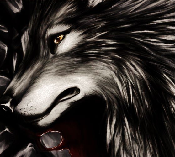 волк - природа, животные, волк - оригинал