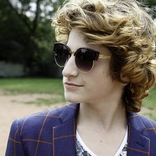 Схема вышивки «Лев Аксельрод»