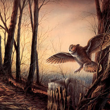 Схема вышивки «сова»