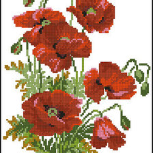 Схема вышивки «Маки»