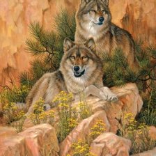 Схема вышивки «Волчья пара»