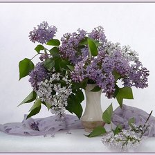 букет сирени