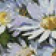 Предпросмотр схемы вышивки «Ромашки» (№759108)