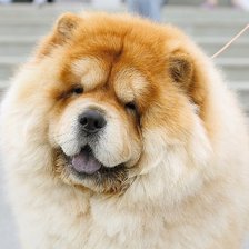 Схема вышивки «№759140»