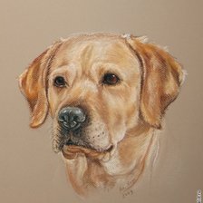 Схема вышивки «собака»