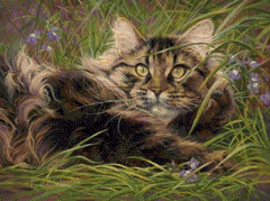 кошка - лето, кошка, трава - предпросмотр