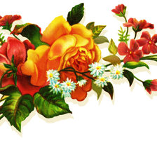 Схема вышивки «№759528»