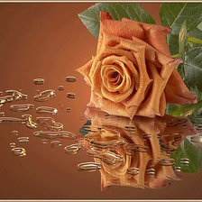 Схема вышивки «Отражение»