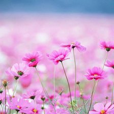 Схема вышивки «№759687»