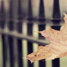 Схема вышивки «одиночество»