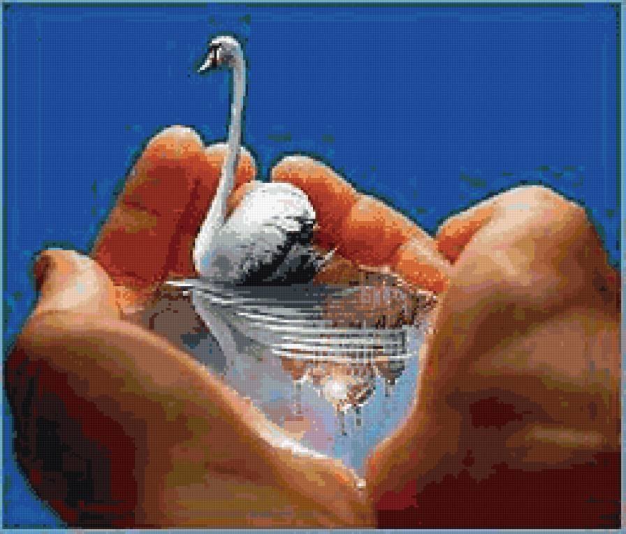 Лебедь - животные - предпросмотр