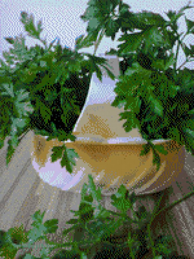 Натюрморт - предпросмотр