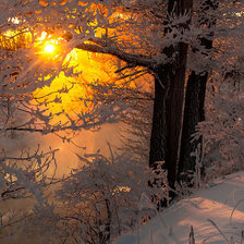Схема вышивки «Оранжевый закат»