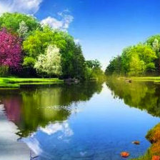 Схема вышивки «лес»