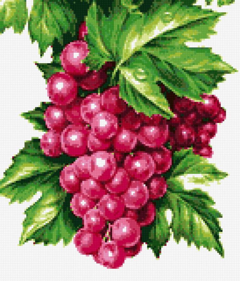 Виноград - фрукты, виноград - предпросмотр