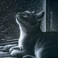 Схема вышивки «Кошка»