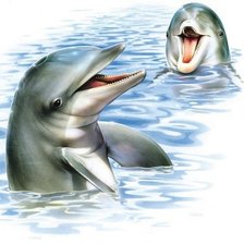 Схема вышивки «дельфины»