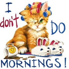 я еще не проснулась