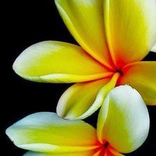 Схема вышивки «№760236»