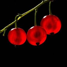 Схема вышивки «№760246»