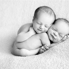 Схема вышивки «близнецы»