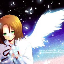 Схема вышивки «Литва»