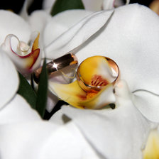 Схема вышивки «обручальные кольца»