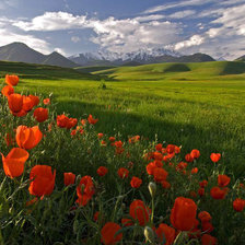 Схема вышивки «Горный пейзаж»