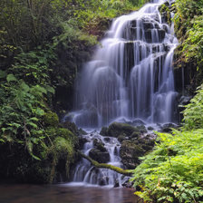 Схема вышивки «Водопад»