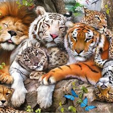 Схема вышивки «большие кошки»