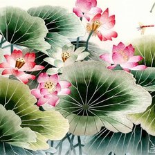 Нежные лотосы