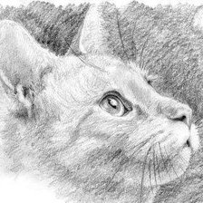 Схема вышивки «Кот (графика)»