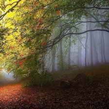 Схема вышивки «2»