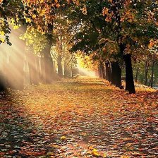 Схема вышивки «6»