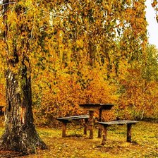 Схема вышивки «8»