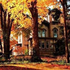 Схема вышивки «10»