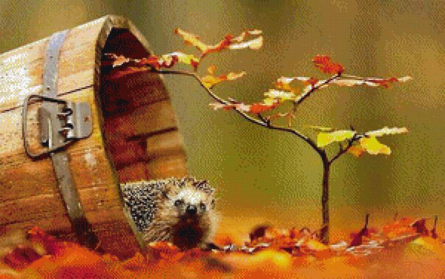 ёжик - осень - предпросмотр