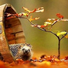 Схема вышивки «ёжик»