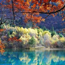 Схема вышивки «17»