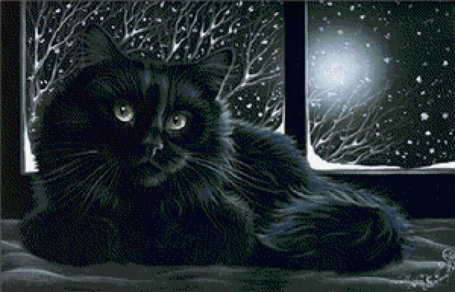 коты - животные, кошка, кот - предпросмотр