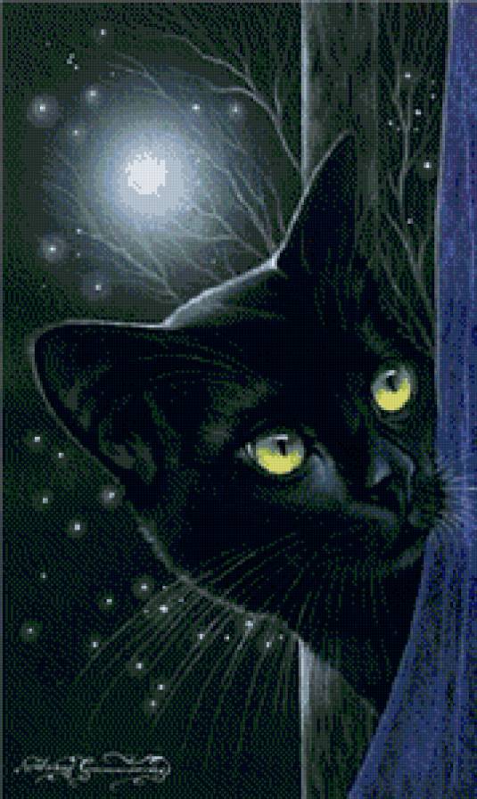 коты - животные, кот, кошка - предпросмотр